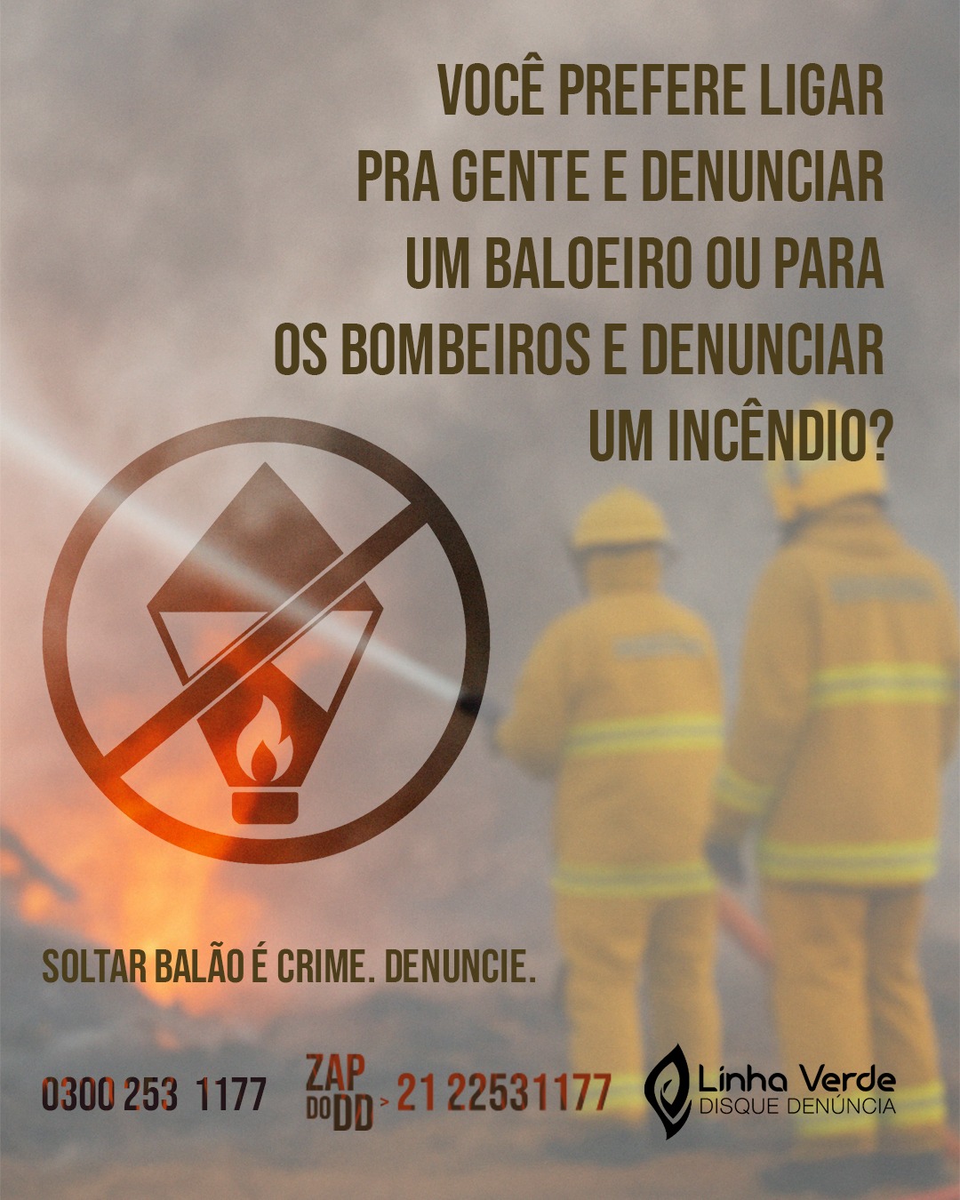 Notícia